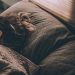 woman sleeping on bed under blankets